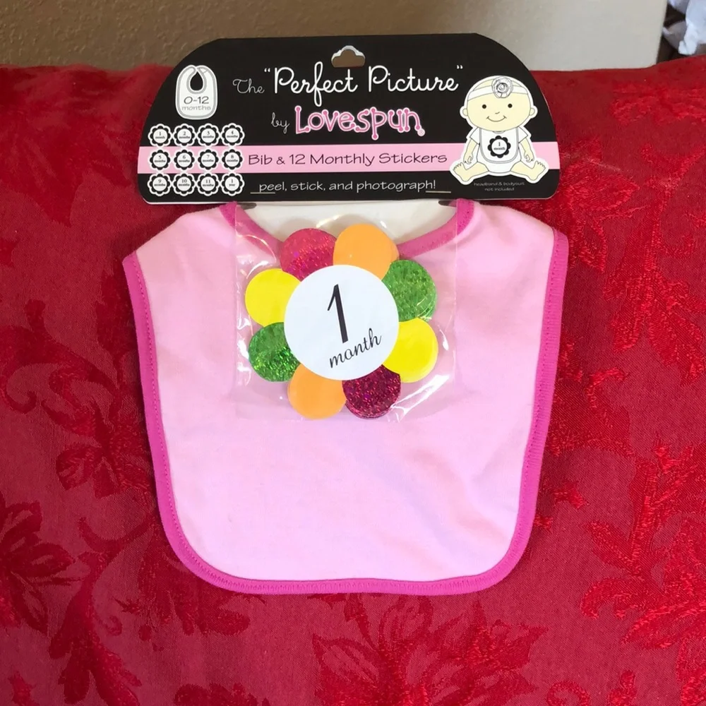 Milestone pink Bib with 12 flower monthly stickers for the perfect picture